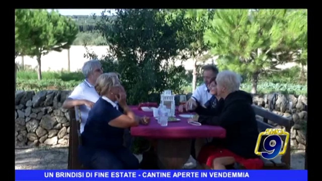 CANTINE APERTE IN VENDEMMIA | Un brindisi di fine estate