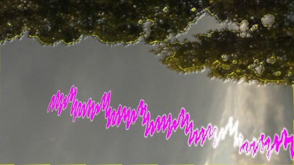 "apparition au mois d’août "