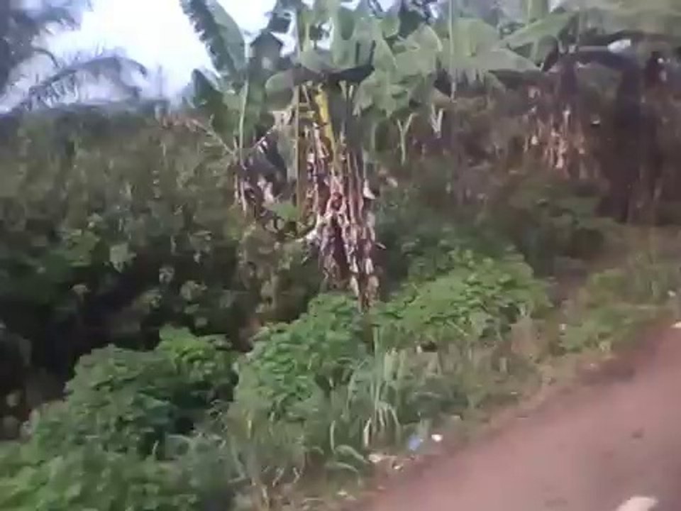 Onderweg van Douala naar Yaounde (2)