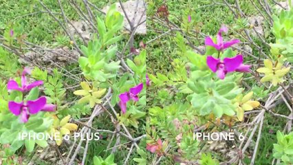 Confronto qualita registrazione video tra iPhone 6 e iPhone 6 Plus