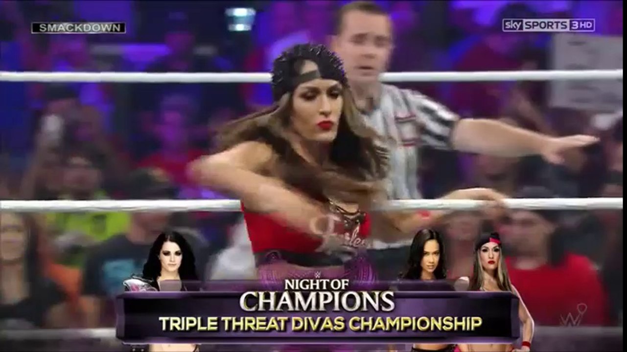 Paige Vs Nikki Bella