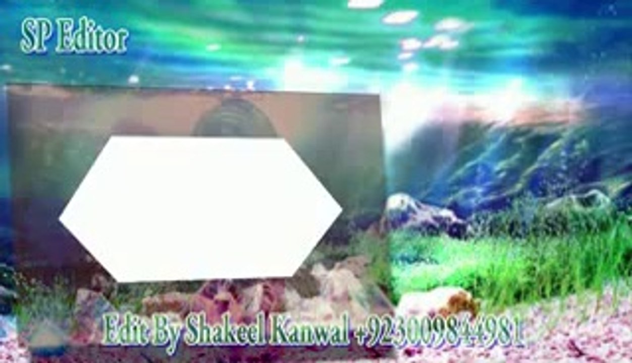 Manwa Laage (Happy New Year) 2014 movie song edius pro 6.08 projects