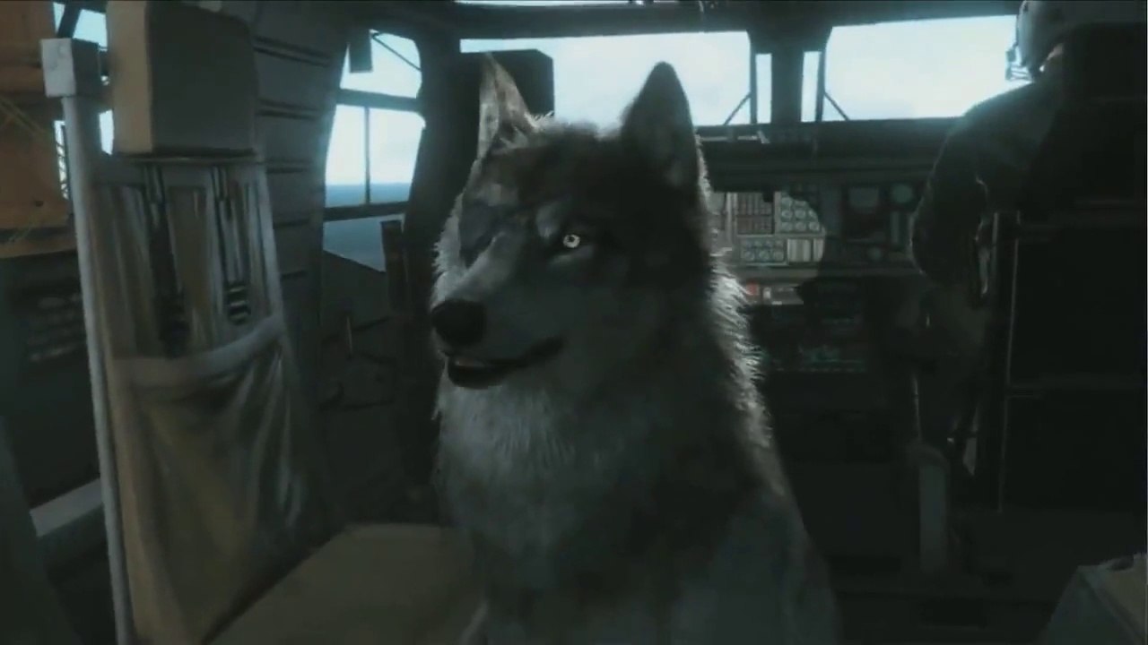 Metal Gear Solid V   DD, le loup de Big Boss