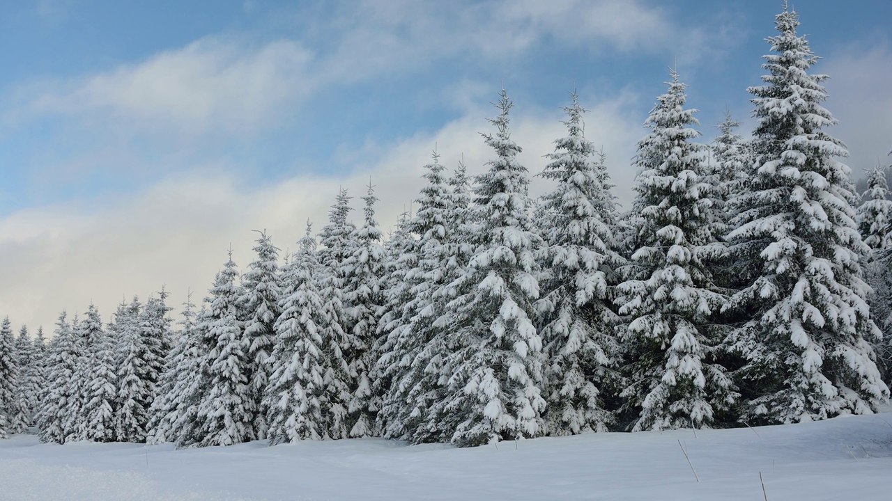 Jura
