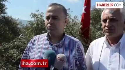 Somalı Köylülerin Zeytinlik Nöbeti