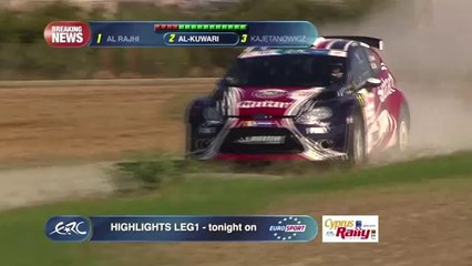 FIA ERC Asfalistiki Cyprus Rally 2014 - Standings After SS4
