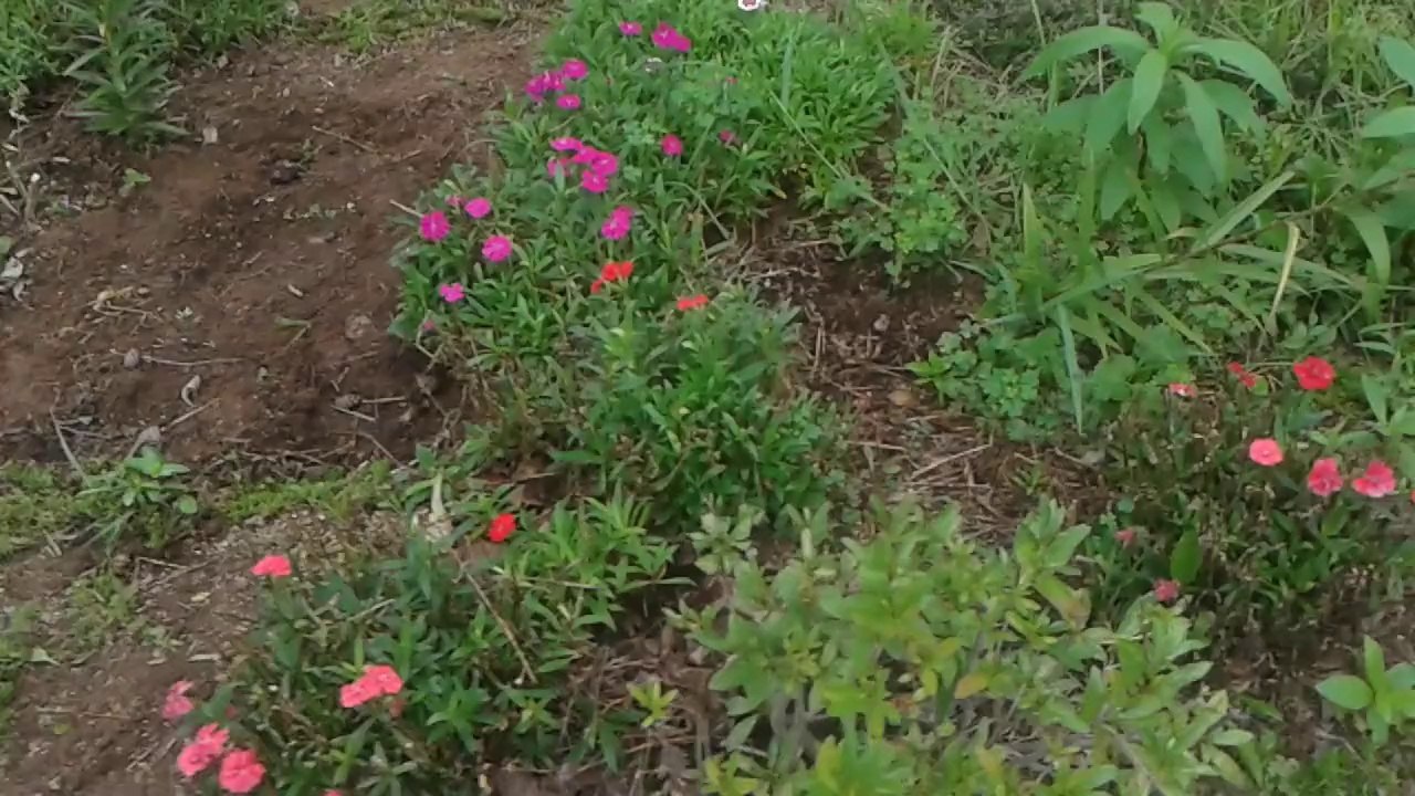 20140806_140525