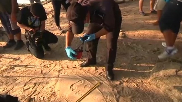 British tourists murder suspects are Asian -Thai police