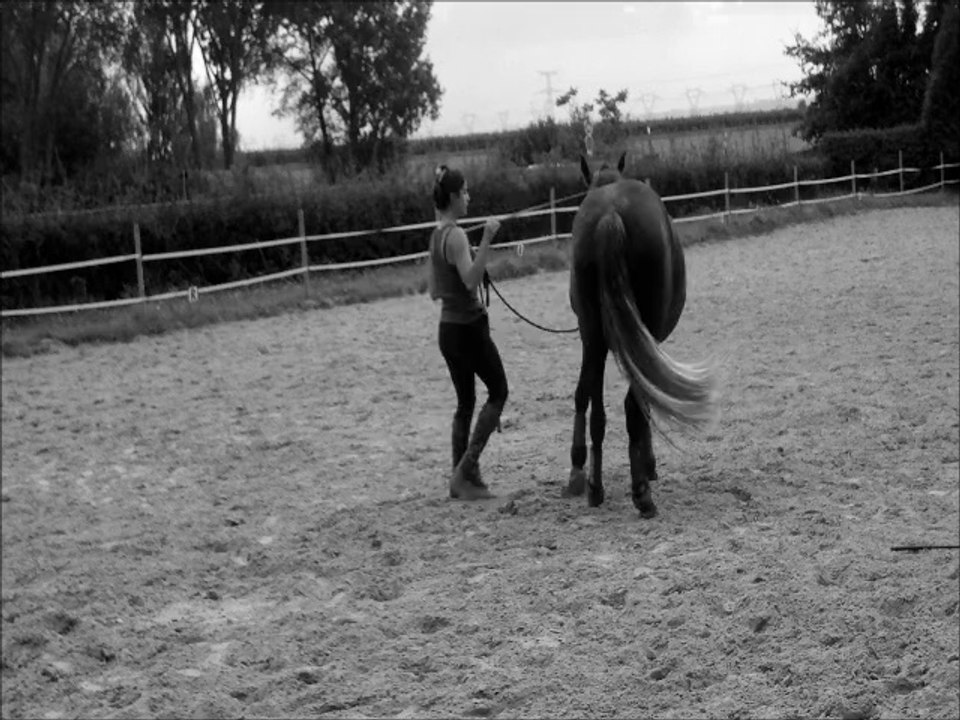 Véga Septembre 2014