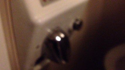 BTR-002: Independent Pizza Restaurant with AS toilet