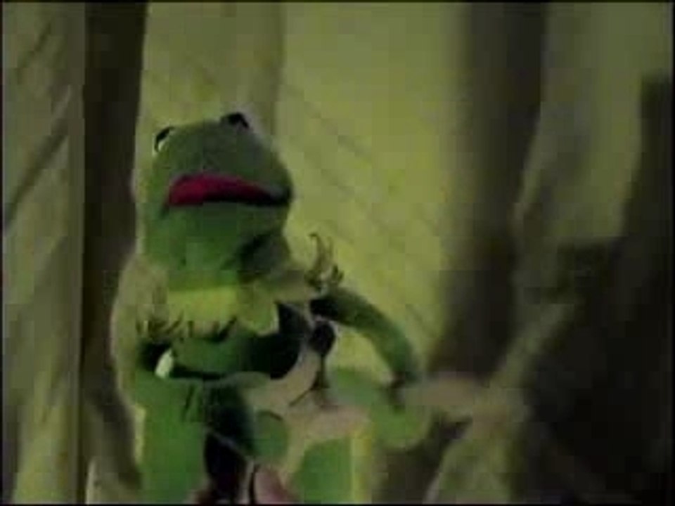 Kermit the frog - Jet cover