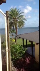 1st floor room view