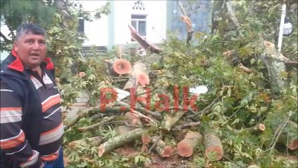 Geyve Kozan şiddetli yağmur_1