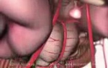 Human reproductive system