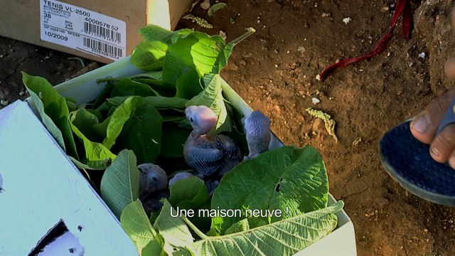 Hautes-Terres, documentaire de Marie-Pierre Brêtas - bande-annonce