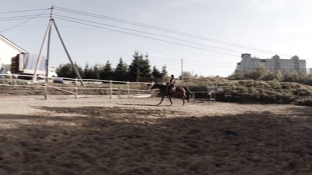 мои потуги на манежном галопе:)