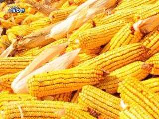 Selo moje, 21. septembar 2014. (RTV Bor)