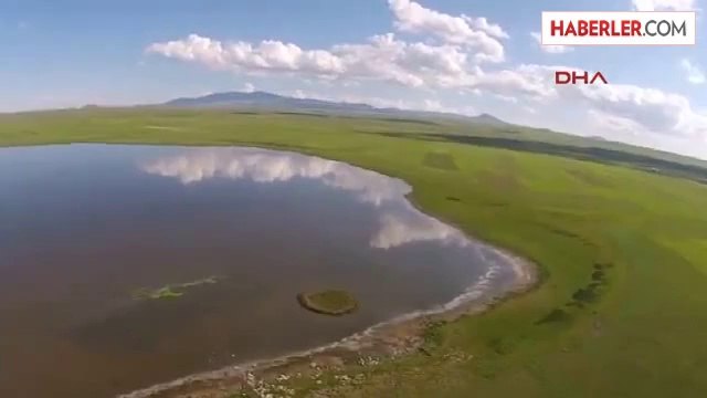 Kuyucuk Kuş Cenneti Kurudu, 232 Kuş Türünden Sadece Angutlar Kaldı