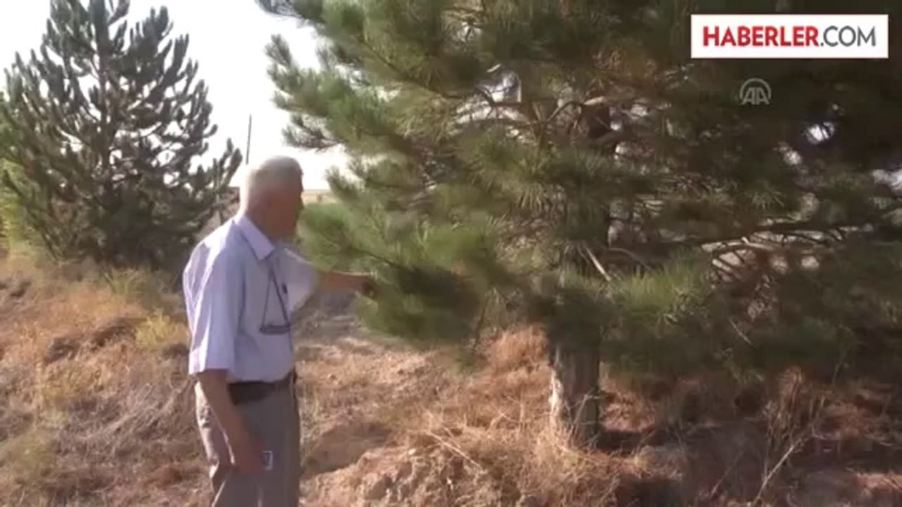 İyiliğe adanmış bir hayat -