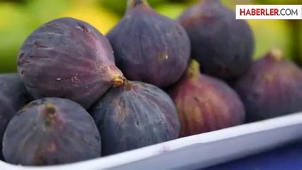Uzun Yaşamın Sırrı İncir Çekirdeğinde!