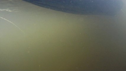 Expedição Água Potável nascente do Rio Paraibuna, (14)