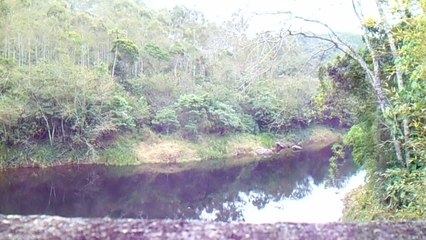Expedição Água Potável nascente do Rio Paraibuna, (18)