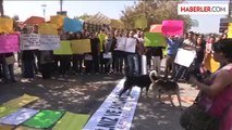 - Bir grup branş öğretmen adayı, kontenjan yetersizliği gerekçesiyle Konak Meydanı'nda eylem yaptı