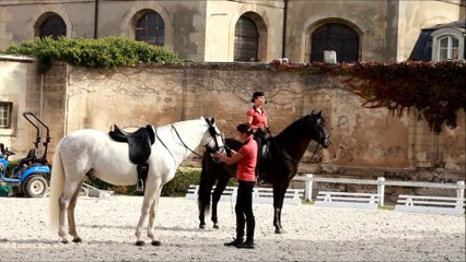 Musé du Cheval de Chantilly