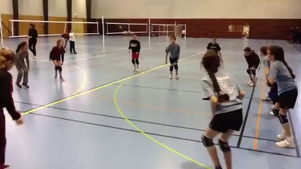 POUSSINS 8 fevrier 2014