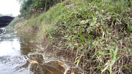 Expedição Água Potável nascente do Rio Paraibuna, (42)