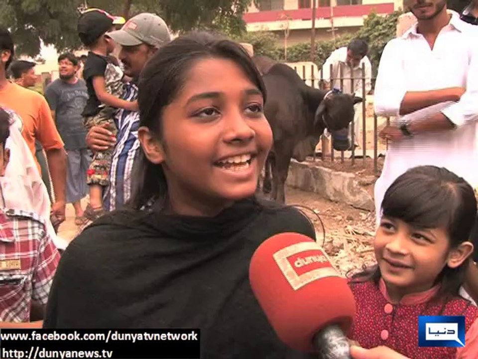 Dunya News - Sacrificial animals bred on rooftops brought down using crane