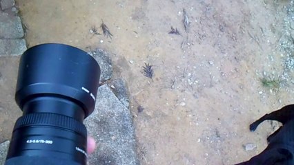 Expedição Água Potável nascente do Rio Paraibuna, (53)