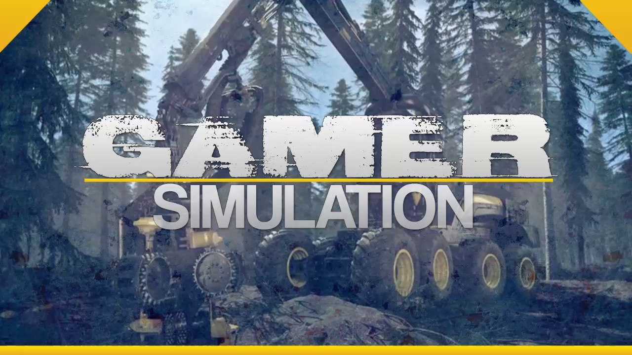 Chaine Gamersimulation Fr