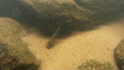 Expedição Água Potável nascente do Rio Paraibuna, (56)
