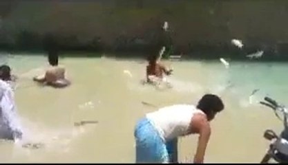 Asian Silver Carp Fish in Balochistan stream are jumping in air