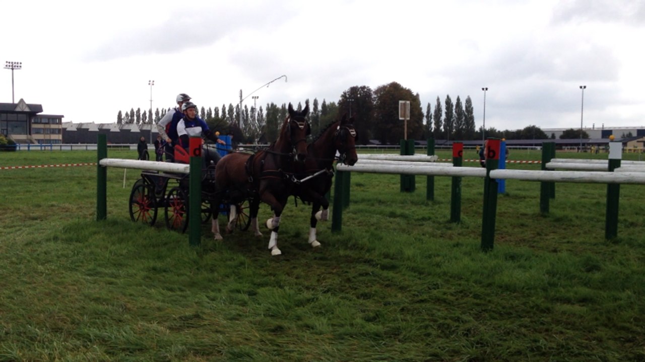 Marathon du concours d'attelage à Lisieux