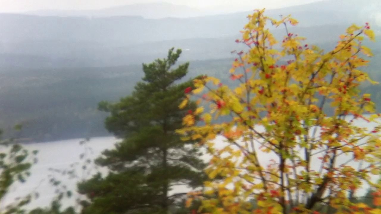 Sep 21 2014 3