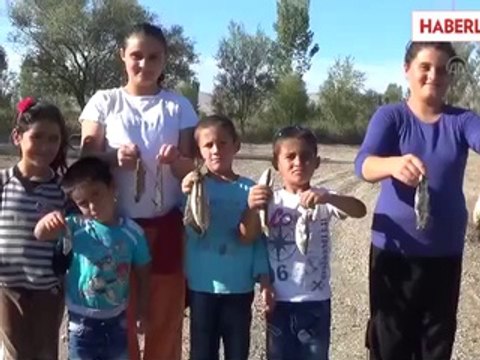 Balık Ölümlerine İnceleme Başlatıldı