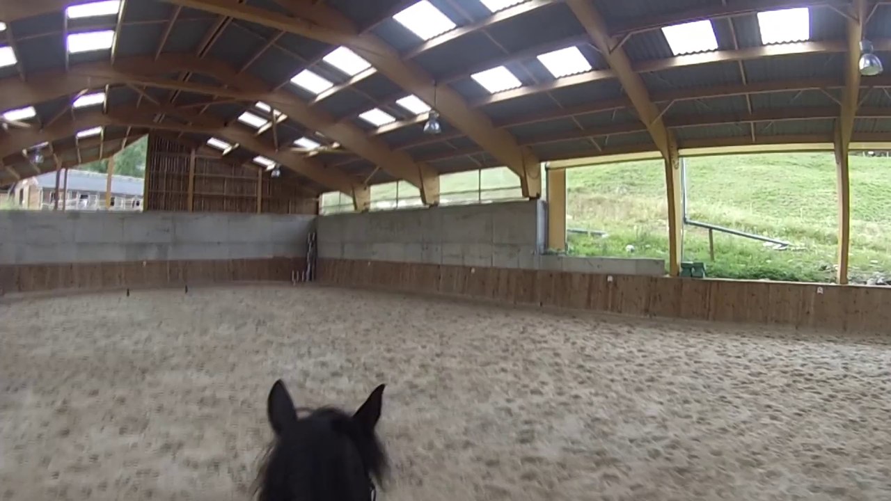 Laura-Idis Reprise de Dressage Galop 5 - Ecurie de l'Abbaye