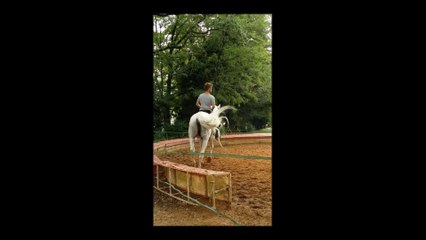 Equitation Dimanche 21 septembre