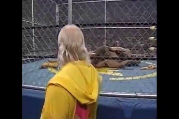 WCW Superbrawl 6 Hulk Hogan vs The Giant Part 4