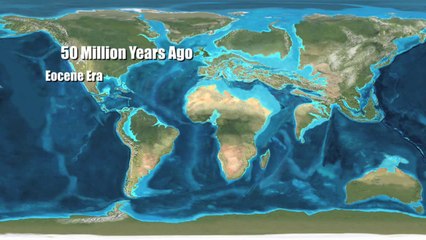 What Will Earth Look Like 100 Million Years From Now? 🌍