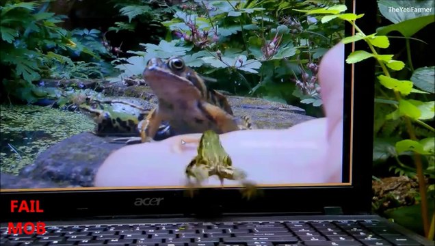 Animals Playing on iPads Compilation 2014 - pt 2 DOGS