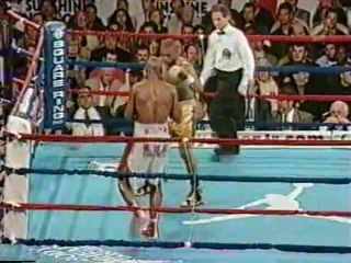 Roy Jones Jr vs Derrick Harmon 2001-02-24
