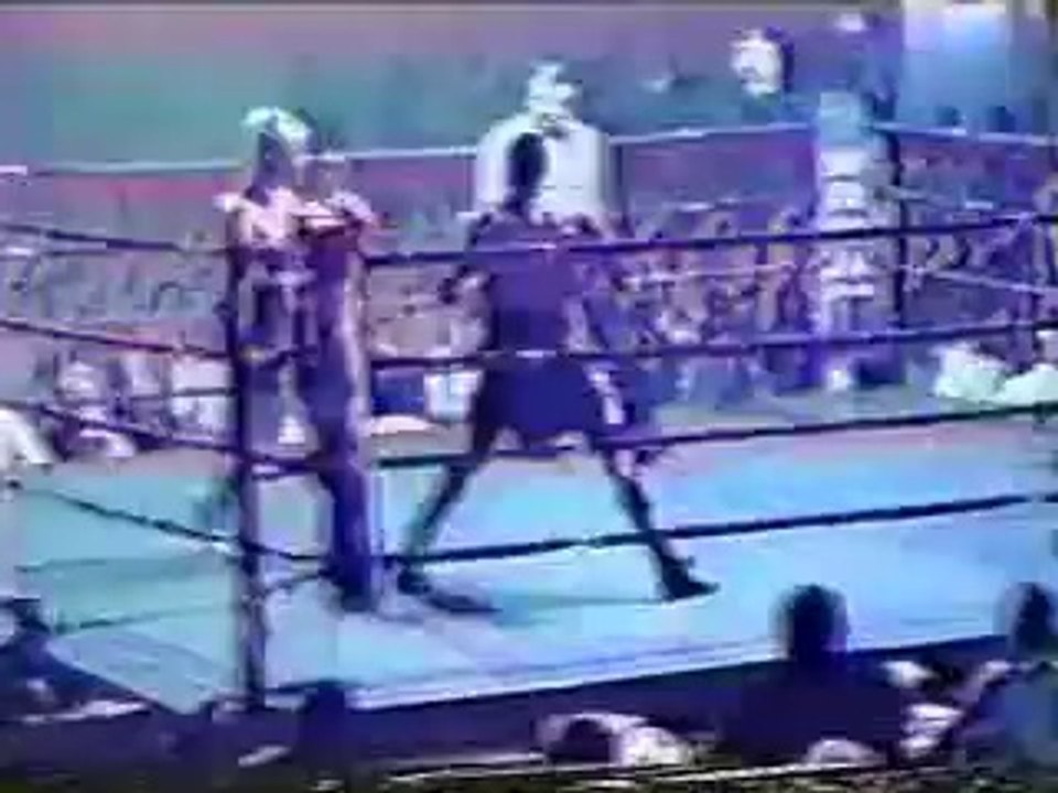 Roy Jones Jr vs Ron Johnson 1990-05-11