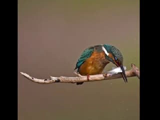 통영오피（유피디 → 구글검색）＊평촌건마［체리］