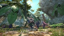 Final Fantasy XIV : A Realm Reborn - Patch 2.4 Dream of Ice