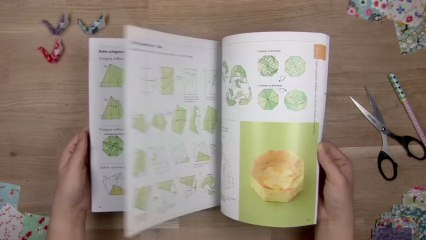 Livre : 30 boîtes en origami