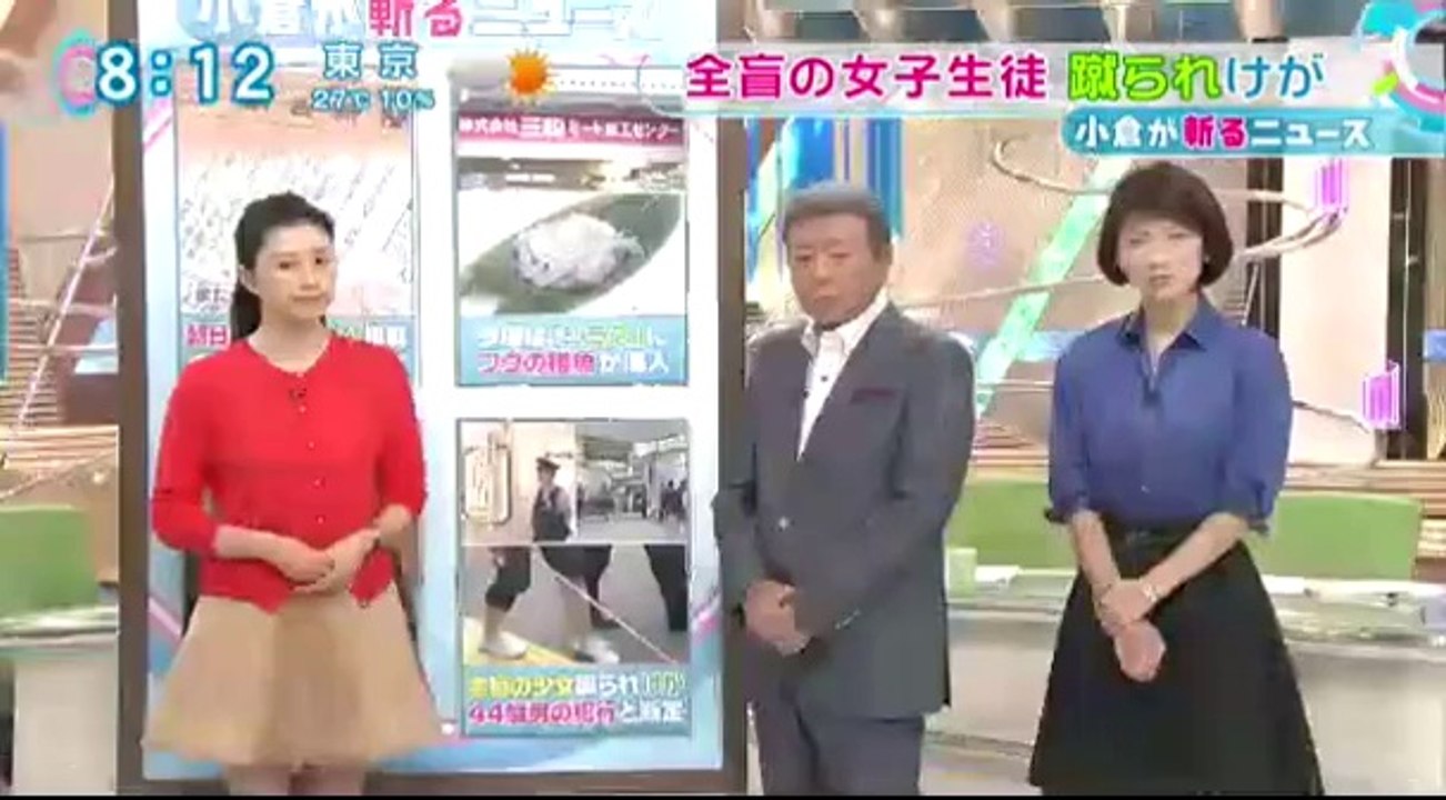 14 09 15 CX TD　埼玉　全盲　女子生徒　44才男　犯人と断定　知的障害