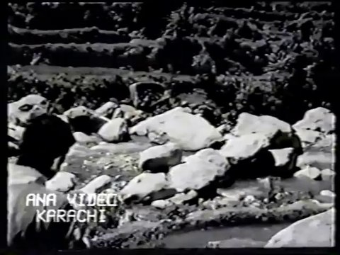 Dil Mera Dharkan Teri_ Kiya Hai Jo Pyar To Padega Nibhana_ Ahmad Rushdi_ Waheed Murad_ Shamim Ara